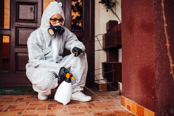 Reliable Cockroach Control contractor in Pittsburg, KS by Nex Pest Control
