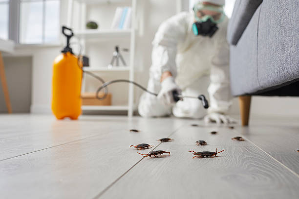 Affordable Cockroach Control solutions in Pittsburg, KS